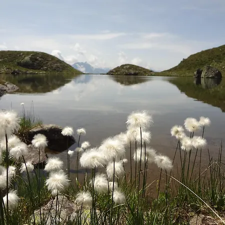 Waidmannsruh Lejlighed