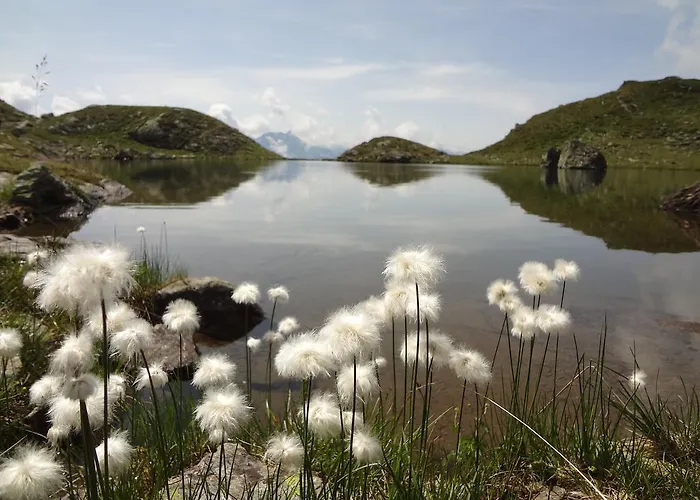 Waidmannsruh 아파트