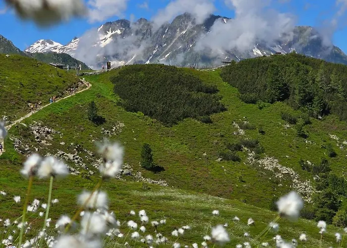 Waidmannsruh * 힙파흐